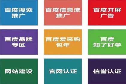 某品牌SEM广告投放效果全解析
